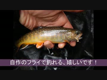 渓流釣りがしたくなって・・・渓流釣りと山菜編