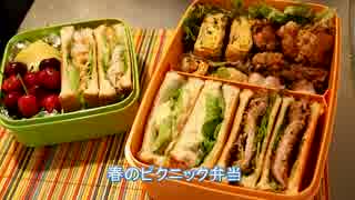 【メガネ食堂】 春のピクニック弁当