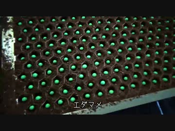 見習い農家　Lv24