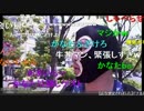横山緑、かなたをディスる(通算20回目）たかしをゴミクズ扱いしたクソ女