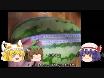 ゆっくり農民32スイカを育ててみませんか？#2