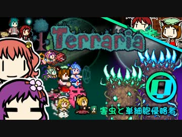 あきゅすずで 猫でもできる Terraria p.26