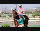 【ウイニングポスト8 2015】女馬主と早世馬の新世界【実況プレイ】187