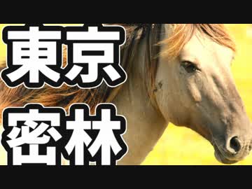 東京で弱肉強食トーキョージャングル実況プレイ【25】