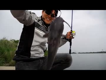 バイクで釣りに行こう♪ part 27 【アメナマ】