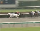 【競馬】ユキチャン-2歳未勝利【２戦目】