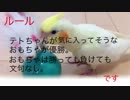 オカメインコのテト 好きなおもちゃランキング！
