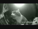 底辺絶望系男といっぴきのねこ 第2話「酔っ払いの対処方法」