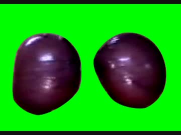 揺れるブドウGB