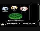 水素水の効能について検証してみたPart0