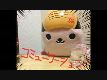 Summer of Love【オリジナルMV】