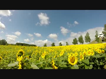 【CB400SB】ラストランから納車まで