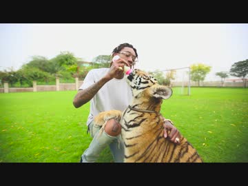 Wiz Khalifa -  So Much