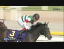 【競馬】2016年 オークス シンハライト【GI】