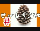 【MHX】初見だけどガチソロ実況 #15 セルレギオス編 【操虫棍】