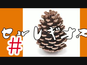 【MHX】初見だけどガチソロ実況 #15 セルレギオス編 【操虫棍】