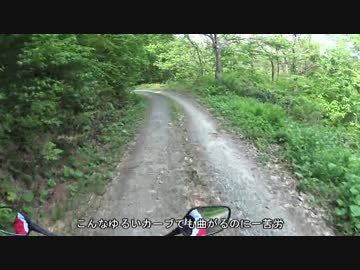 【CBR250R】若葉ライダーが林道に迷い込んだよー