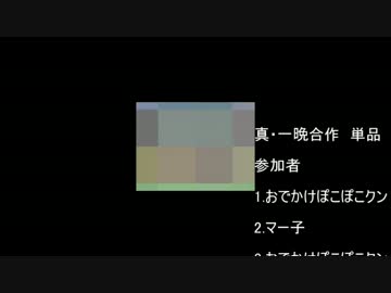 真・一晩合作2　単品
