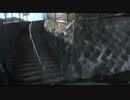 「隣霊映像　封印された投稿動画集　Vol.5」