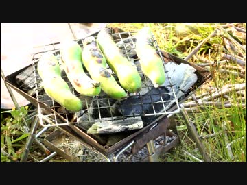 YBCに行けなかったのでシェルパに乗ってキャンプしてきた№3