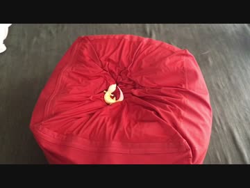 トカゲが人をダメにするソファーに座ったら・・・。