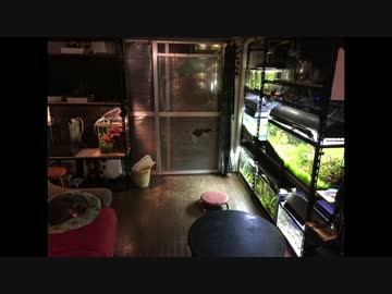 【水槽124n】大磯スポフィルの敗北 vs 30H水槽