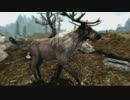 【実況】スカイリム移住計画【Skyrim】第17回