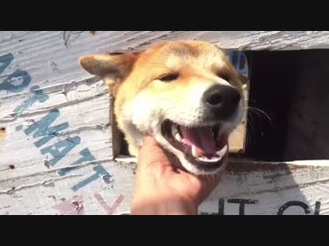 おとぼけごん太くん！登場！
