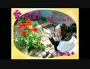 【Yuna*】愛の詩【踊ってみた】【3周年】