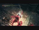 【ダークソウル3】趣味武器で侵入 part2