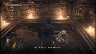 【ダークソウル3】比較的簡単な攻略解説　part6.5【実況】