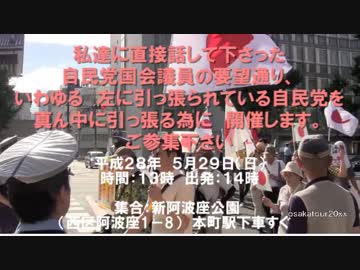 拡散お願い28年5月29日◆移民反対、人権擁護法反対デモ【凛風】