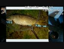 Angler's Barで　ベル子さんの釣果が紹介されたぞ