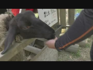 30すぎたおっさんのZX10Rどうがにっき　Part.58