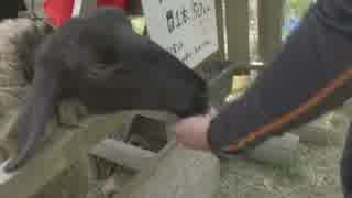 30すぎたおっさんのZX10Rどうがにっき　Part.58