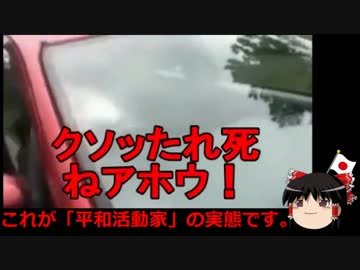 【ゆっくり保守】無法極まる沖縄の自称平和活動家たち。
