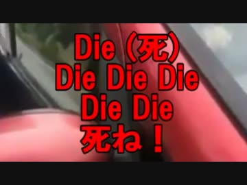 沖縄の自称平和活動家の実態。