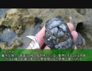 自給自足の車中泊フィッシングiｎ城ヶ島