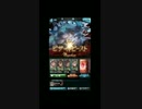 【団員】第21回古戦場EX+(水) 土パ2分台【募集】