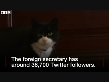 英外務省の猫　日々つづるツイッターが人気に