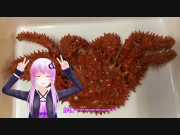 YAMAHA兄妹で行く北海道ツーリング Part9