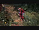 【ダークソウル３】趣味の侵入１０