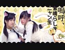 【MiniCｘタヌキ】嗚呼、素晴らしきニャン生  踊ってみた【初コラボ】