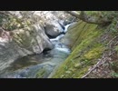 渓流釣りがしたくなって・・・ルアー＆テンカラ編（後半戦テンカラ）