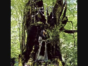 【天野月】「天の樹」クロスフェード