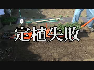 見習い農家　Lv25