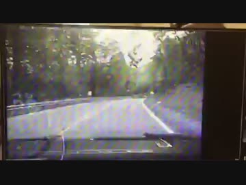 倒木をどけようとした警官に別の木が、避けきれず負傷(米 05/27)