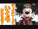 ディズニーっていくらかかるの？【ﾃﾞｨｽﾞﾆｰ旅】01