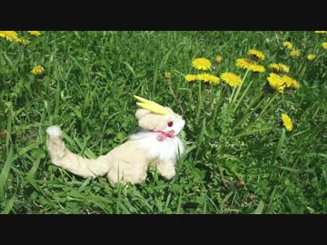 【森風のアトリエ　～ForestWind～】第三回：柴犬感のする小狼竜