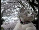 実践ビジネス英語　2008年4月4日